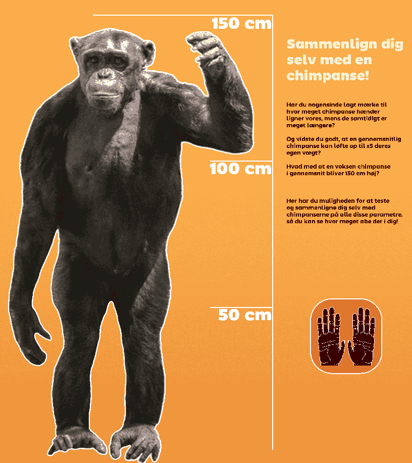 cool poster